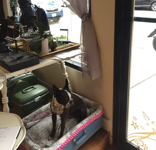 a tour of the e. scott shop!