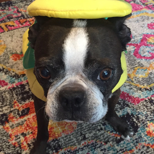It's not all work here at e. scott originals- Halloween Edition