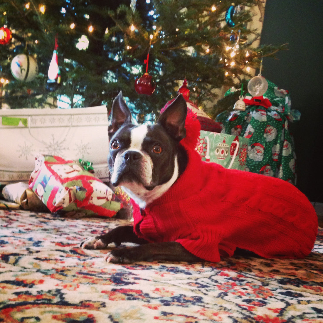 The holidays are coming!